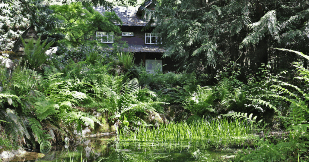 Linwood House's pond view