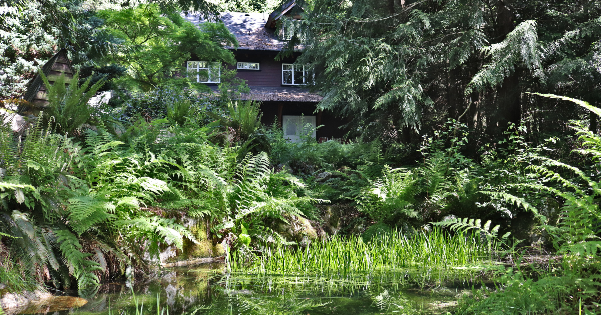 Linwood House garden and pond